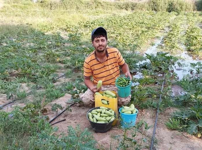 من صراع الجفاف إلى زراعة الأمل